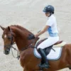 Equestrian. 2.0 part sticker preview 4