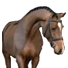 Equestrian. 2.0 part sticker preview 2