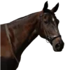 Equestrian. 2.0 part sticker preview 1