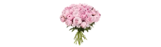 💐 emoji Больше стиков тут: @stikery4 Telegram sticker 2 of 50
