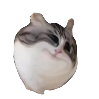 🫵 emoji Больше стиков тут: @stikery4 Telegram sticker 10 of 17