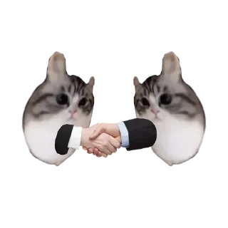 👀 emoji Больше стиков тут: @stikery4 Telegram sticker 17 of 17