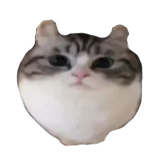 😍 emoji Больше стиков тут: @stikery4 Telegram sticker 2 of 17