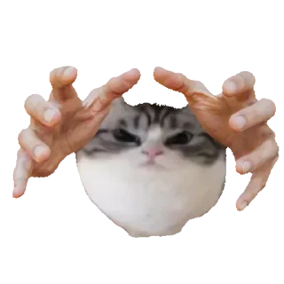 🤯 emoji Больше стиков тут: @stikery4 Telegram sticker 6 of 17