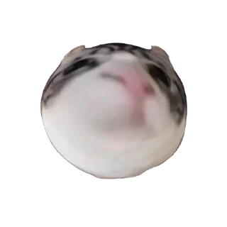 🧐 emoji Больше стиков тут: @stikery4 Telegram sticker 8 of 17