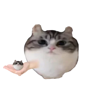 🫃 emoji Больше стиков тут: @stikery4 Telegram sticker 3 of 17