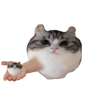 🧍‍♂ emoji Больше стиков тут: @stikery4 Telegram sticker 4 of 17