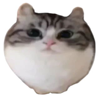 🌪️ emoji Больше стиков тут: @stikery4 Telegram sticker 14 of 17
