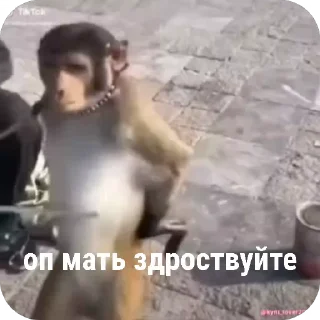Sticker from Бібізянки