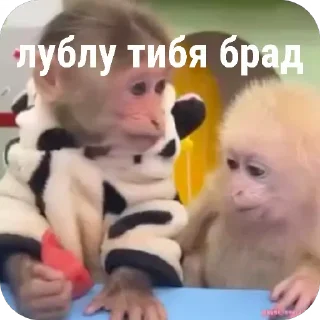 Sticker from Бібізянки