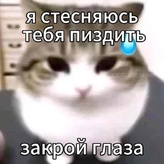 Sticker from ебанутость ч1 :: @freedesktoporg