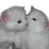 🤍 emoji VPN 👉 @gptVPNrbot Telegram sticker 10 of 146