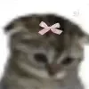 🎀 emoji VPN 👉 @gptVPNrbot Telegram sticker 23 of 146