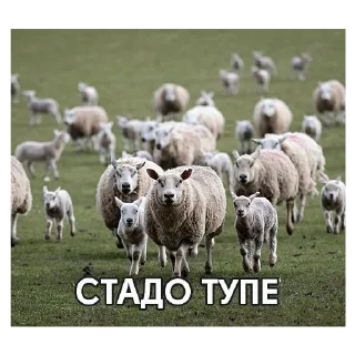 Sticker from Мафиози