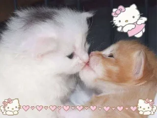 🌟 emoji Video Favorite stickers Telegram sticker 17 of 50