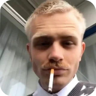 Sticker from 🧅|Лукошко|🇳🇱