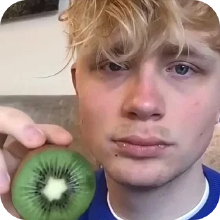 👍 emoji Ест клей 🧅🇳🇱 Telegram sticker 20 of 78