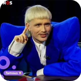 🙂 emoji Joost Klein🇳🇱 Telegram sticker 13 of 77