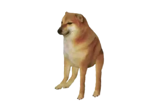Sticker from @StickerAomame @MafiaAomame