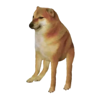 Sticker from @StickerAomame @MafiaAomame