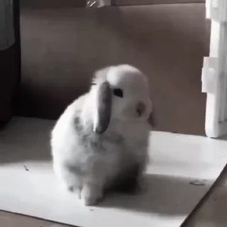 Sticker from Rabbits @TVstickers