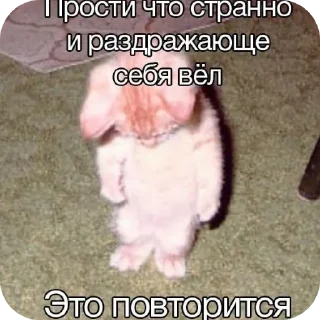 🤲 emoji Еврейские котики Telegram sticker 11 of 61