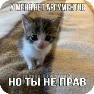 😡 emoji Еврейские котики Telegram sticker 20 of 61