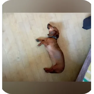 👍 emoji Богатая жизнь с её причудами Telegram sticker 5 of 21