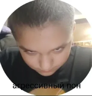 додики sticker 4