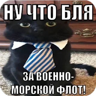 🖼 emoji амням абсолют Telegram sticker 23 of 23