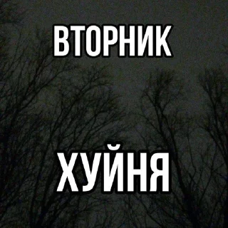 😤 emoji odakakzheyahorosha Telegram sticker 10 of 63
