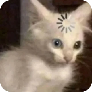 Sticker from Kitty's 🥰