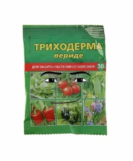 🌟 emoji Революционный Комитет Бобра и  pack by @QuotLyBot Telegram sticker 15 of 120