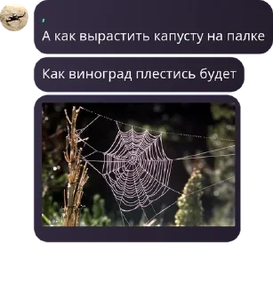 🛷 emoji Революционный Комитет Бобра и  pack by @QuotLyBot Telegram sticker 8 of 120