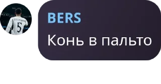 🫱‍🫲 emoji Чат [Adilsika] pack by @QuotLyBot Telegram sticker 21 of 46