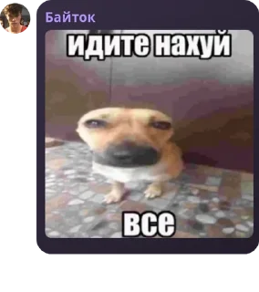 👩‍🍼 emoji Чат [Adilsika] pack by @QuotLyBot Telegram sticker 24 of 46