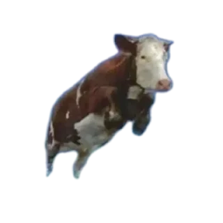 Sticker from 𝐊𝐚𝐲𝐫𝐚〆 Sticers