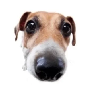 🤯 emoji квакси момент Telegram sticker 5 of 23