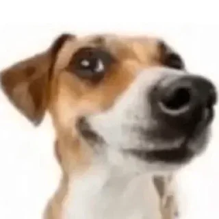 😄 emoji квакси момент Telegram sticker 17 of 23