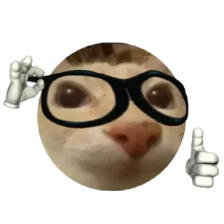 Sticker from RujCat @Usladniestikeri