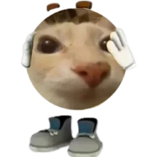 Sticker from RujCat @Usladniestikeri