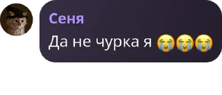 😭 emoji Лукошко Telegram sticker 6 of 15