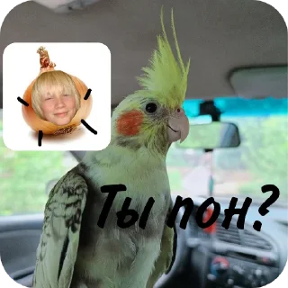 Sticker from Йостик @Stikerhi_bot