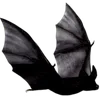 🖤 emoji МАРИНА МАРДЕН Telegram sticker 9 of 187