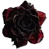🩸 emoji МАРИНА МАРДЕН Telegram sticker 6 of 187