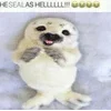 seals sticker preview 3