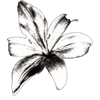 🥀 emoji МАРИНА МАРДЕН Telegram sticker 13 of 187