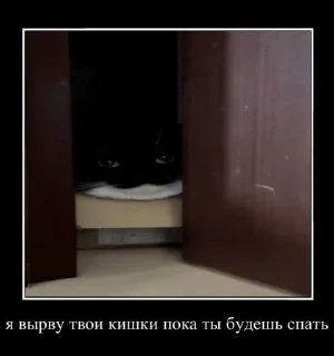 ⭐️ emoji Ярик бомба | логово ебланов @ckersones Telegram sticker 23 of 108