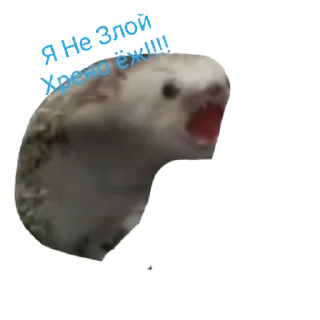 Sticker from Джема