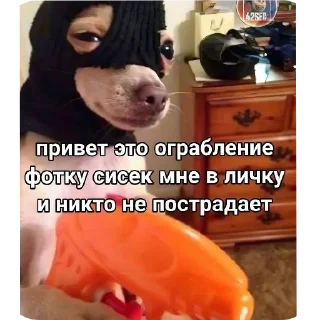 🖼 emoji dvnv және онын жақын достары Telegram sticker 24 of 25